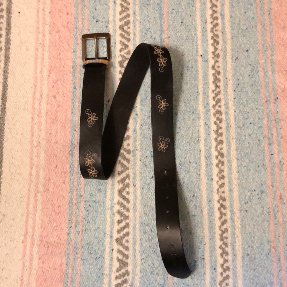 Chaco Belt
